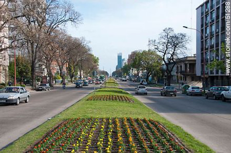 Boulevard Artigas, Montevideo, Uruguay 1