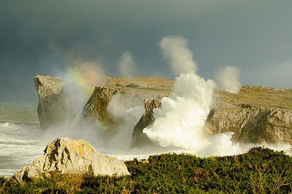 Bufones de la costa de Llanes, Asturias 0