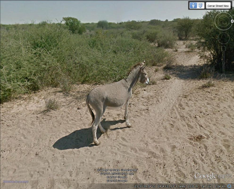 Capa "ir de Safari" con Google Earth 0