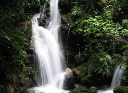 Parque Naciona Bwindi, Uganda 🗺️ Foro Clima, Naturaleza, Ecologia y Medio Ambiente 0