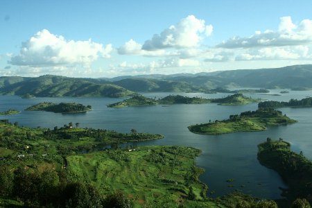 Parque Naciona Bwindi, Uganda 🗺️ Foro Clima, Naturaleza, Ecologia y Medio Ambiente 0