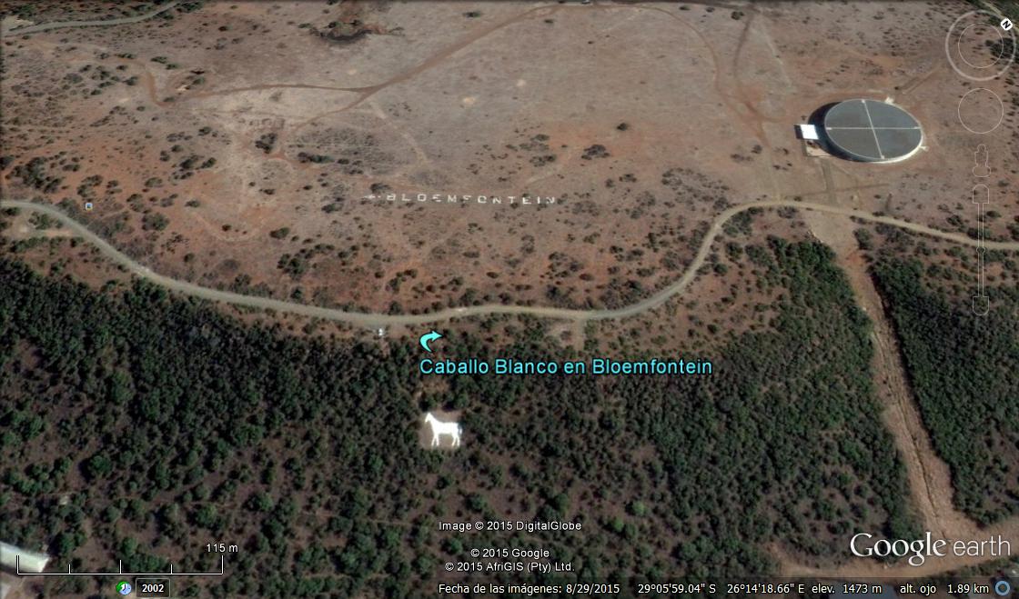 Caballo Blanco de Bloemfontein 0 - 3 dinosaurios mas en el desierto del Gobi, en el lado chino 🗺️ Foro General de Google Earth