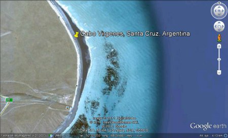 Cabo Virgenes, Santa Cruz, Argentina 🗺️ Foro América del Sur y Centroamérica 2