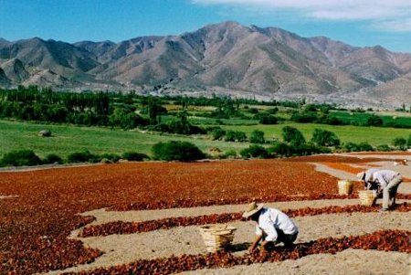 Cachi, Salta, Argentina 1