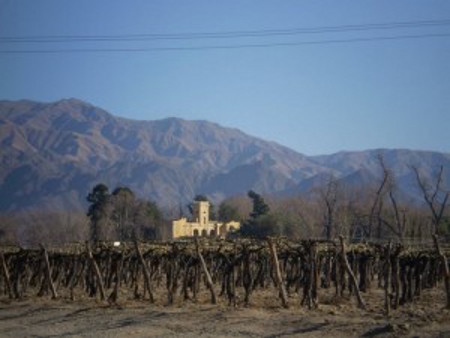 Cafayate, Salta, Argentina 0