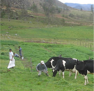 Cajamarca, Perú 1