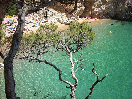 Cala Pola, Tossa de Mar, Catalunya 1