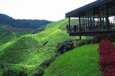 Cameron Highlands, Pahang, Malasia 0