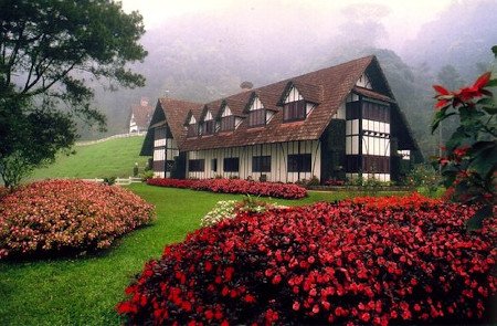 Cameron Highlands, Pahang, Malasia 1