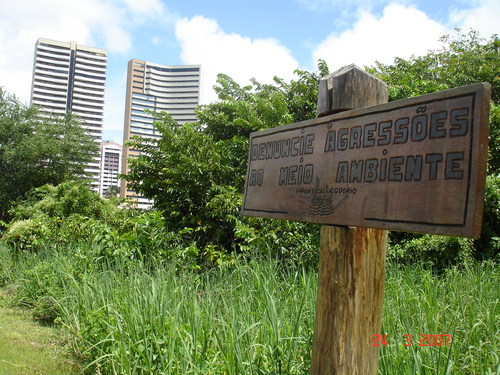 CAMPOS DE FUTBOL DEFORESTADOS POR MINUTO 🗺️ Foro Clima, Naturaleza, Ecologia y Medio Ambiente 1