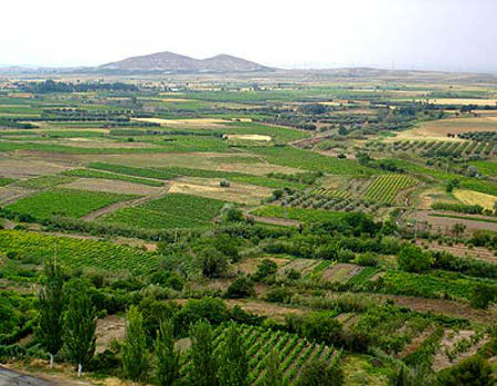 Campo de Borja, Zaragoza 1