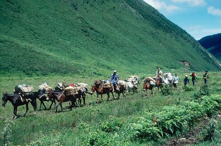 Cang Shan, Dali, Yunnan, China 1