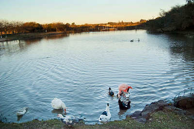 Carmelo, Uruguay 1