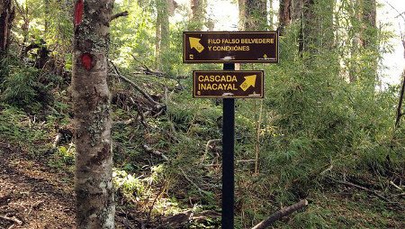 Cascada Inacayal, Neuquén, Argentina 0