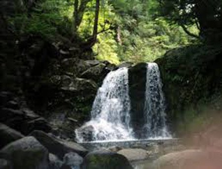 Cascada Inacayal, Neuquén, Argentina 0