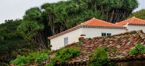 Caserío La Tosca, La palma, Canarias 0