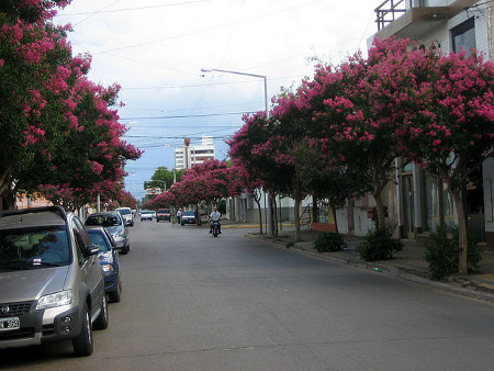 Castelli, Venado Tuerto, Santa Fe, Argentina 0