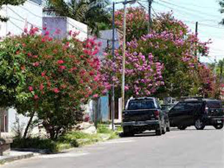 Castelli, Venado Tuerto, Santa Fe, Argentina 1