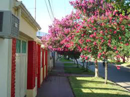 Castelli, Venado Tuerto, Santa Fe, Argentina 1