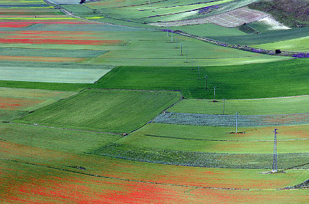 Castelluccio, Perusa, Italia 0