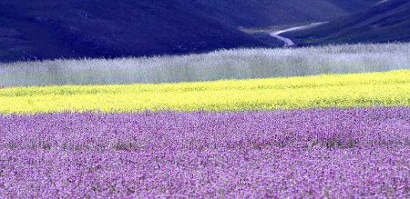 Castelluccio, Perusa, Italia 1