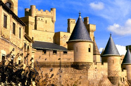 Castillo de Olite, Olite, Navarra 0