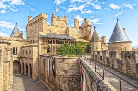 Castillo de Olite, Olite, Navarra 🗺️ Foro España 0