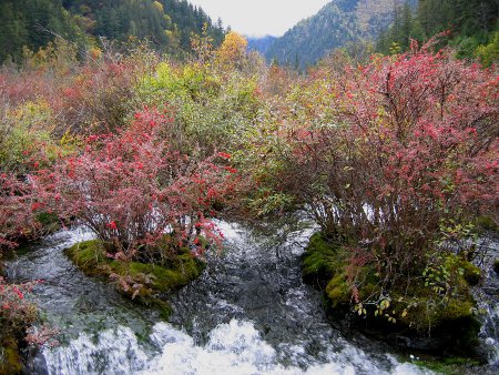 Cataratas Zhenzhu Tan, Jiuzhaigou, Sichuan, China 1