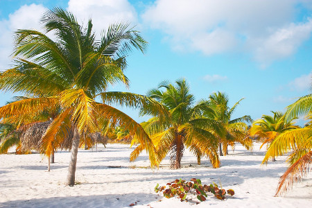 Cayo Larga del Sur, Cuba 🗺️ Foro América del Sur y Centroamérica 1