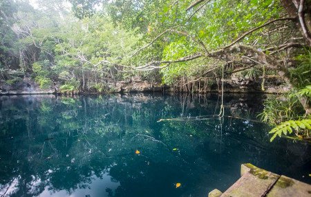 Cenote Angelita, Quintana Roo, México 🗺️ Foro América del Sur y Centroamérica 0