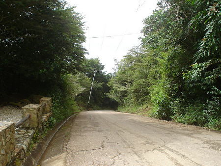 Cerro Copey, Isla Margarita, Venezuela 0