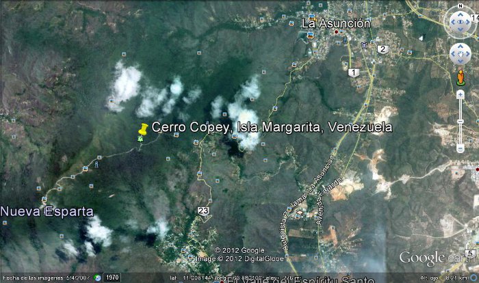 Cerro Copey, Isla Margarita, Venezuela 2