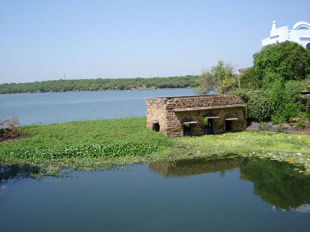 Santuario Nacional de Chambal, Uttar Pradesh, India 0