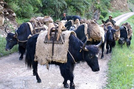 Chamdo, Xizang, China 0