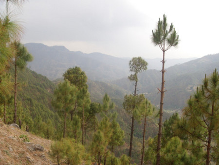 Champawat, Uttarakhand, India 0