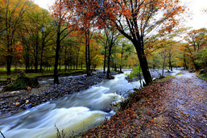 ChangbaShan, Jilin, China 0