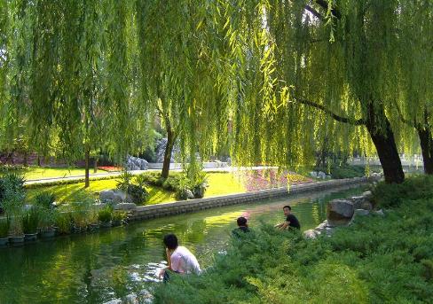 Parque ChangPu River, Beijing, China 1