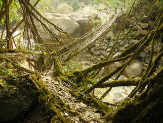 Cherrapunji‎, Meghalaya, India 0