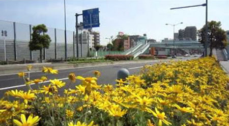 Chiba, Chiba, Japón 0