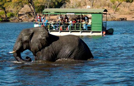 Parque Nacional Chobe, Botswana 1