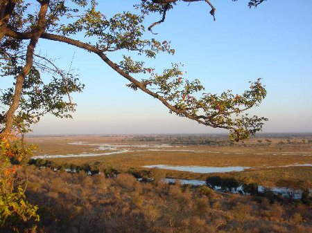 Parque Nacional Chobe, Botswana 0