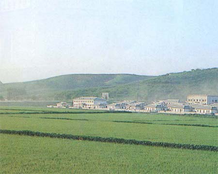 Chongsan, Korea del Norte 🗺️ Foro Asia 0