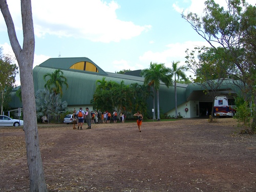 Cocodrilo Gigante de Florida 1