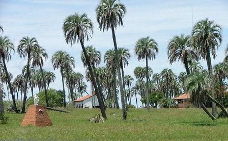 Colón, Entre Ríos, Argentina 🗺️ Foro América del Sur y Centroamérica 0