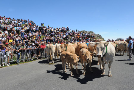 Piedra de San Martin y Paz de las tres Vacas 1