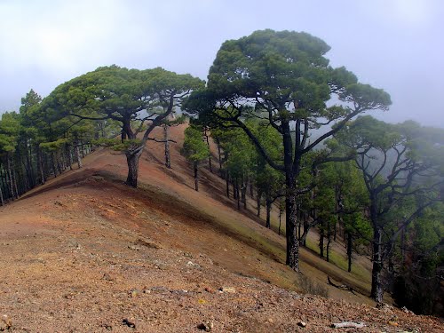 Selva Negra - Alemania 🗺️ Foro General de Google Earth 0