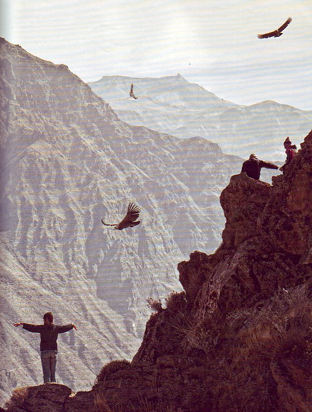 CAÑÓN DEL COLCA- El más profundo del mundo. 0