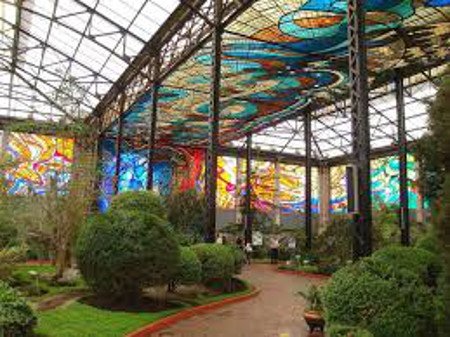 Cosmovitral, Centro, Toluca, México 🗺️ Foro América del Sur y Centroamérica 0