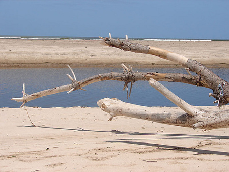 Costa de Oro, Canelones, Uruguay 1