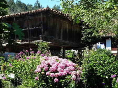 Cuevas, Asturias 1